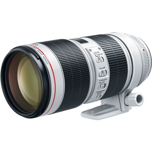 Canon EF 100mm f/2.8L Macro IS Usm Lens