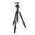 Promaster XC-M 525CK PROFESSIONAL CARBON FIBER TRIPOD KIT WITH HEAD - BLACK