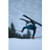 skier