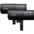 Profoto D30 500Ws Monolight Duo Kit