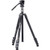 Tripod 