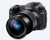 SONY Cyber-shot RX10 IV Digital Camera