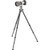 Gitzo Systematic Series 3 Carbon Fiber Tripod with Arca-Type Series 4 Center Ball Head with Lever Release