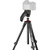 JOBY Compact Action Tripod