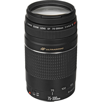 CANON ZOOM LENS EF 75-300mm 1：4-5.6 II Amazon.com : Canon RF 75-300mm f/4-5.6 Compact Telephoto