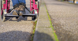 How To Maintain Wheelchair Casters for Smooth Performance