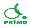 Primo Wheelchair Tires