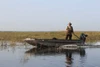 Mud-Skipper 18-22hp Surface Drive 1:1 GEAR RATIO - Base Model