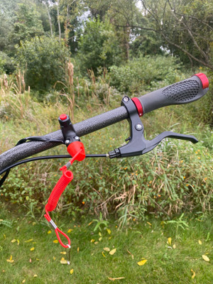 SAFETY KILL SWITCH - 7/8"