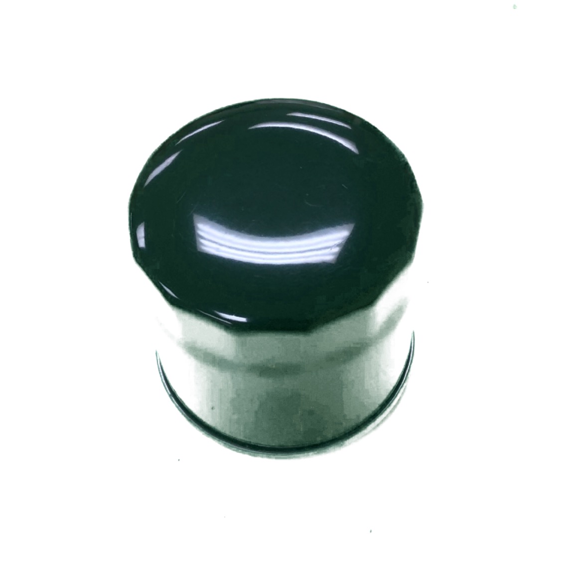 Mud-Skipper 20hp Engine Oil Filter