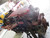EGR Cummins Engine 2010 - Wrecking Truck (107)