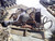 2001 Freightliner 120 29 18B Transmission With PTO