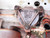 Cummins Fuel Solenoids
