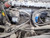 2000 Scania P124G 360 GB8X2NB
