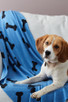 Cashmere Dog Blanket