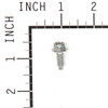 691108 - Screw - Briggs and Stratton - Genuine OEM Part