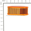 795066 Air Filter Briggs and Stratton - Image 3
