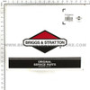 BRIGGS & STRATTON PUMP 203046GS - Image 8
