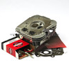 BRIGGS AND STRATTON 84001918 - HEAD CYLINDER - Image 1