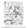 Part Lookup Kohler Command PRO 25 PA-CH740-0045 Diagram 11