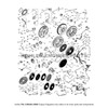 Kohler Command PRO 20 PA-CH640-3205 OEM Ignition-Charging Diagram