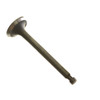 14721-Z4H-000 - Valve Exhaust - Honda Original Part