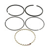 Honda 13010894003 Ring Set (Standard) Original Mower Part