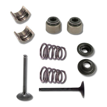 Valve Kit for 726CC CYL HEAD KIT#1