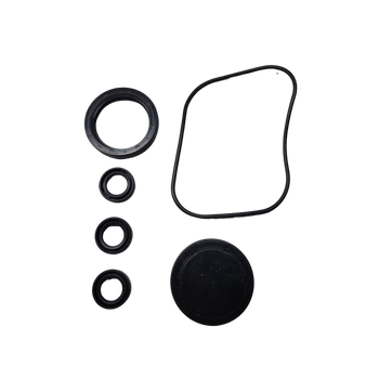 198846GS Kit-Oil Seal - Briggs and Stratton - Genuine OEM Part - Image 1