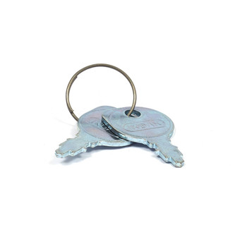 BRIGGS & STRATTON IGNITION KEY PAIR 7011138YP - Image 1