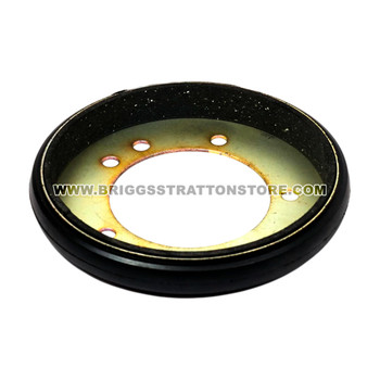 Briggs and Stratton 7600135YP Friction Ring Kit OEM
