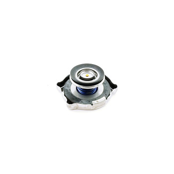 Briggs And Stratton 1737239Sm - Cap-Radiator (Briggs Oem Part)