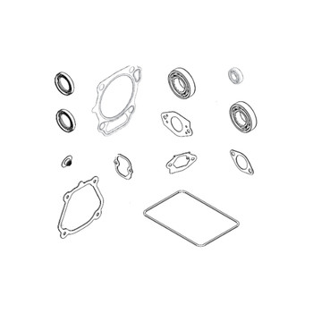 BRIGGS AND STRATTON 84007223 - GASKET SET ENGINE (Briggs OEM part)