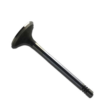 ED0096851450-S - Exhaust Valve - Kohler Original Part