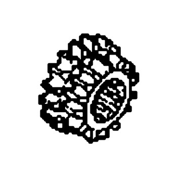 23462-V20-003 - Gear (15Teeth/17Teeth) - Honda Original Part