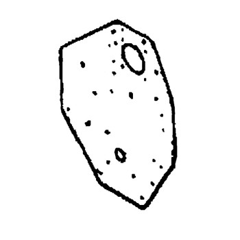 72999-0037 - Plate Left Side - Honda Original Part