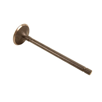 14711-816-030 - Valve In - Honda Genuine OEM Part