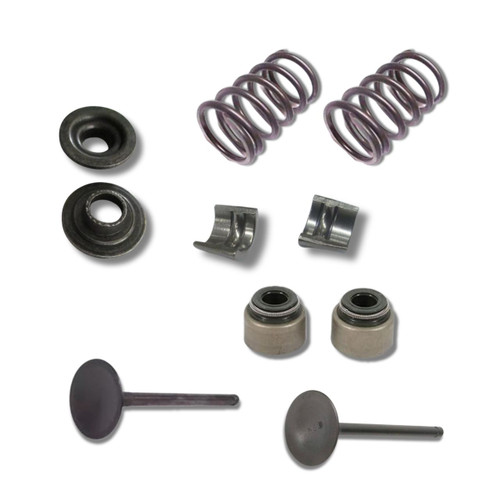 Valve Kit for 603CC CYL HEAD KIT#1