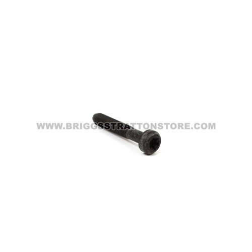 BRIGGS & STRATTON SCREW 791118 - Image 1