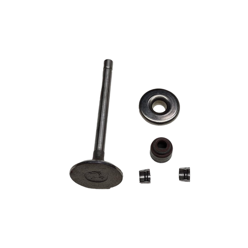 807680 Valve, Intake - Briggs and Stratton - Genuine OEM Part - Image 1