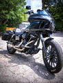 Dyna Passenger Peg Crash Protection Bar – Gloss Black Finish Dyna Passenger Peg Crash Protection Bar – Gloss Black Finish