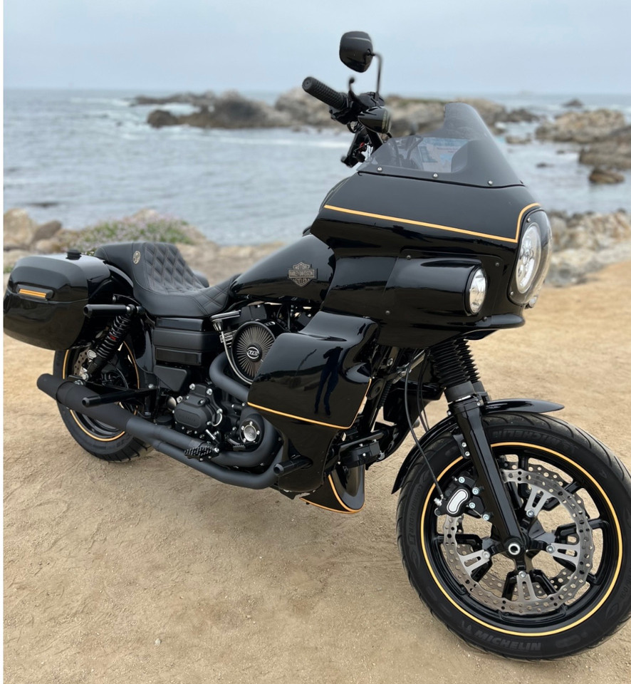 Bung King Delrin frame sliders mounted on dyna full view rear shock bolts