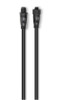 Garmin Nmea 2000 Backbone Drop Cable 1.0'