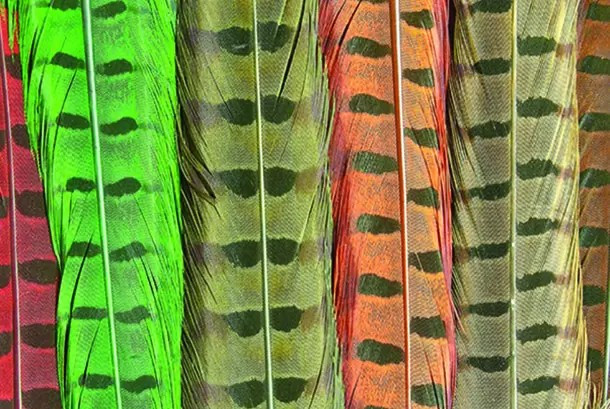 Wapsi Pheasant Tails