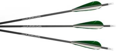 Gold Tip Warrior Shafts w/2" Raptor Vanes - Each