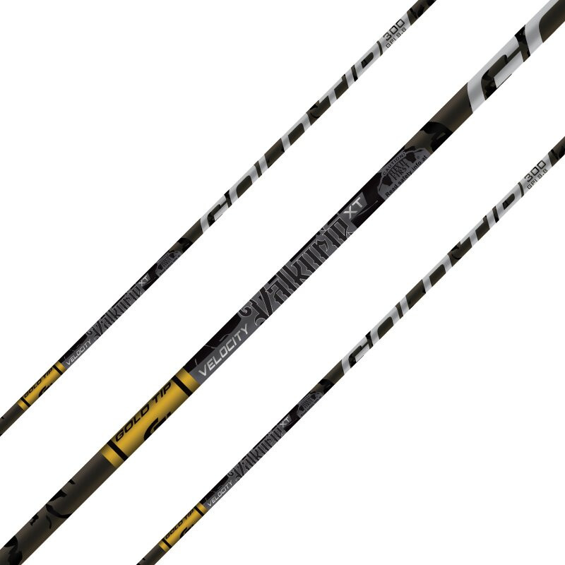 Gold Tip Velocity Valkyrie XT 300 w/ 2" Raptor Vanes - 6pk