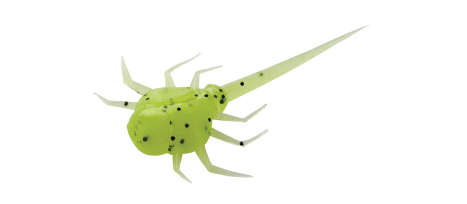 13 Fishing Coconut Crab 6 Pack