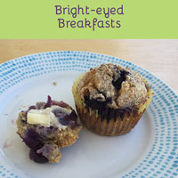 Try this delicious paleo blueberry muffin recipe and other low carb breakfasts.