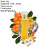 Zanzi 1.6 oz. Eau de Parfum
