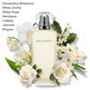 Destiny Eau de Parfum Refill 0.25 oz